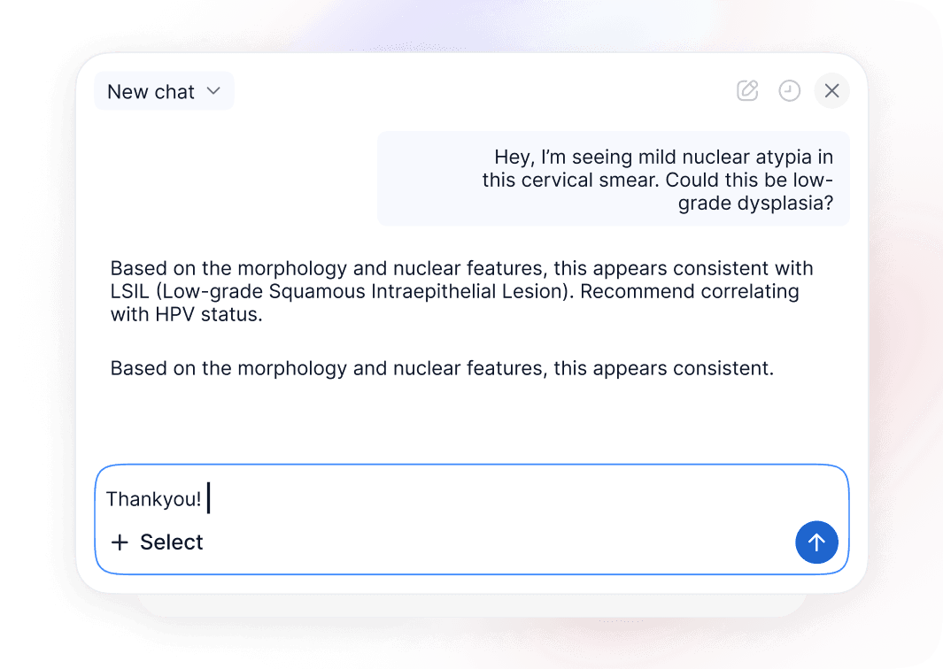 Vision-Language Model (VLM)